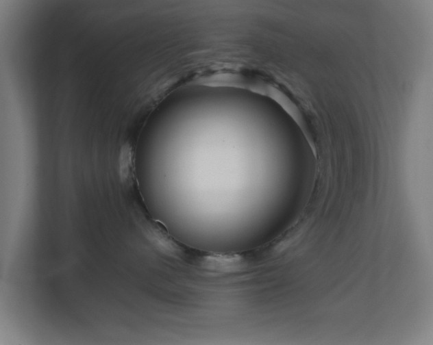 X0000111120480200907071001