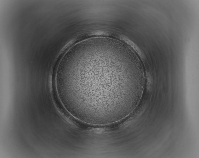 X0000111120482200907071001