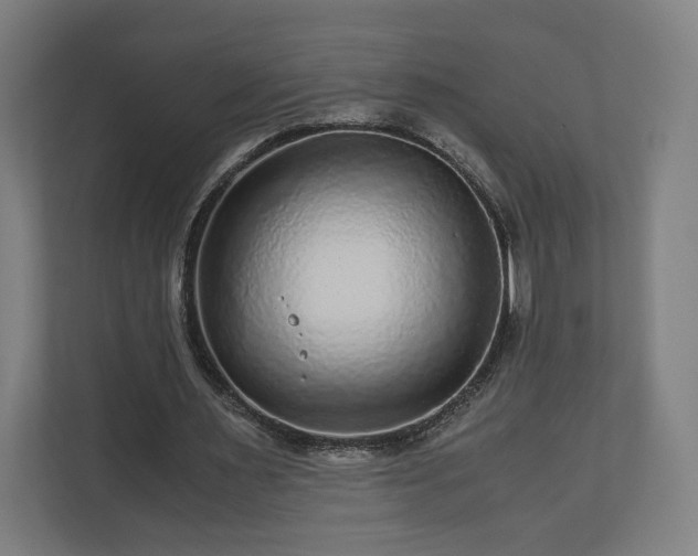 X0000111120483200907071001