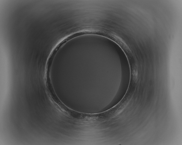 X0000111120484200907071001