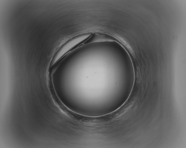 X0000111120485200907071001