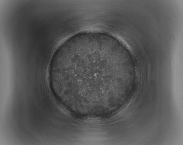 X0000111120487200907071000