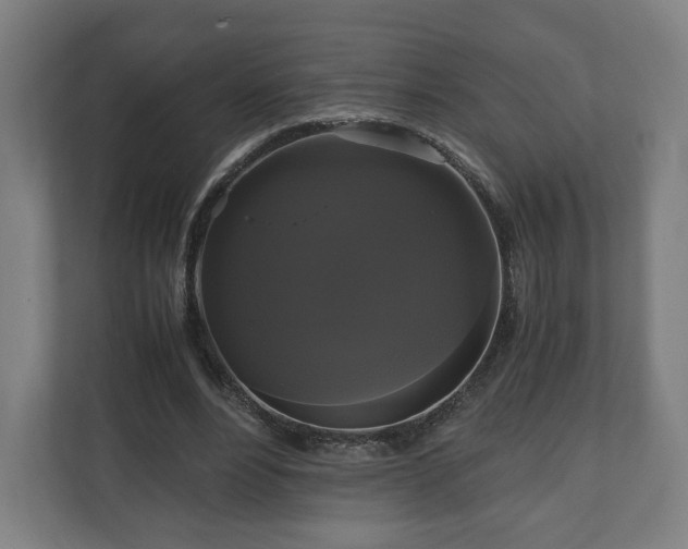 X0000111120488200907071000