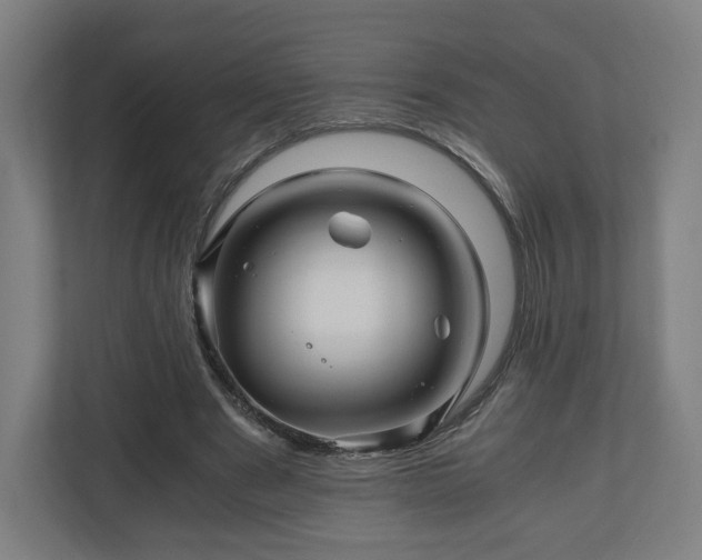 X0000111120489200907071000