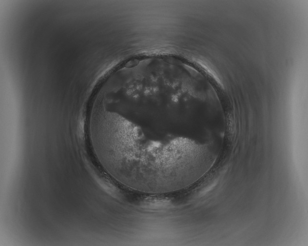 X0000111120491200907071000