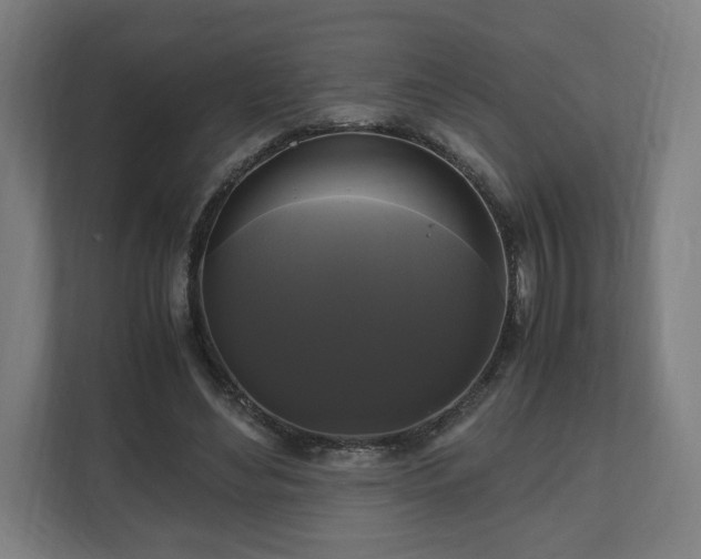 X0000111120492200907071000