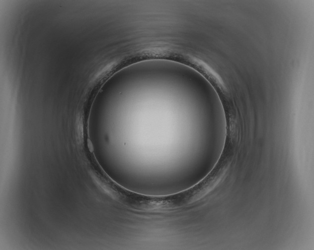 X0000111120493200907071000