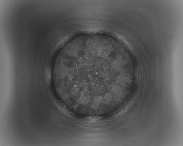 X0000111120495200907071000