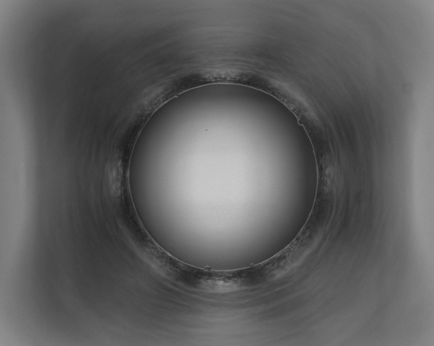 X0000111120498200907071000