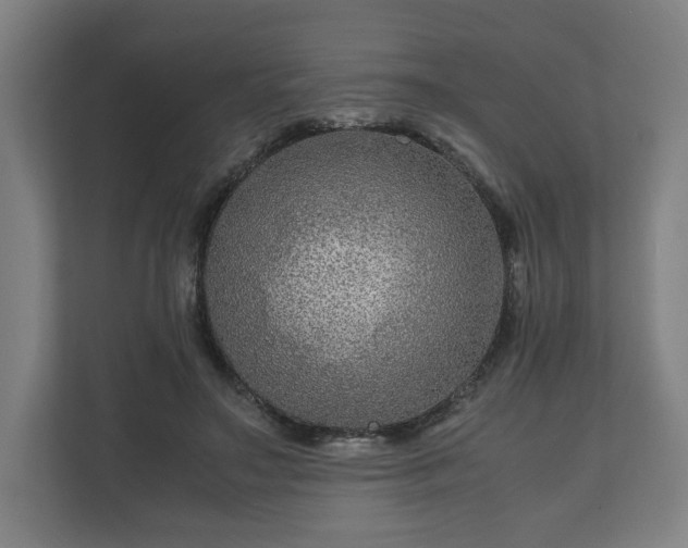 X0000111120499200907071000