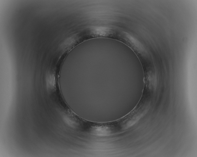 X0000111120500200907071000