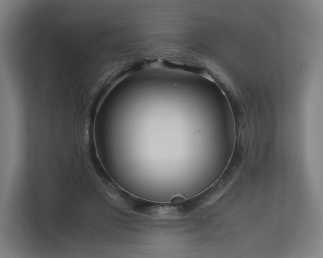 X0000111120501200907071000