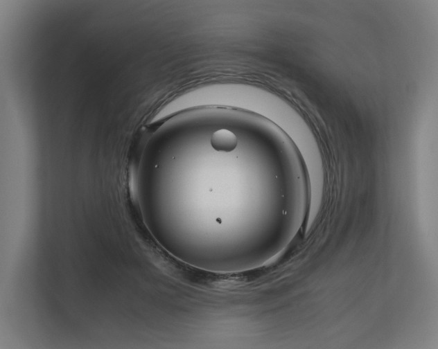 X0000111120505200907071000