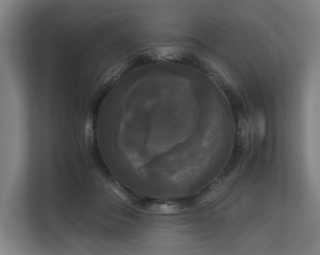 X0000111120506200907071000