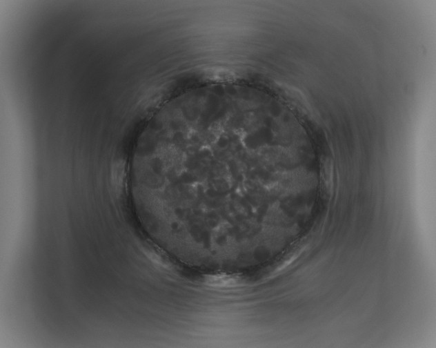 X0000111120511200907071000