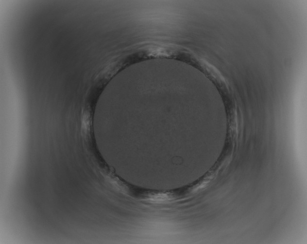 X0000111120513200907071000