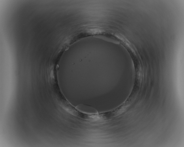 X0000111120516200907071000