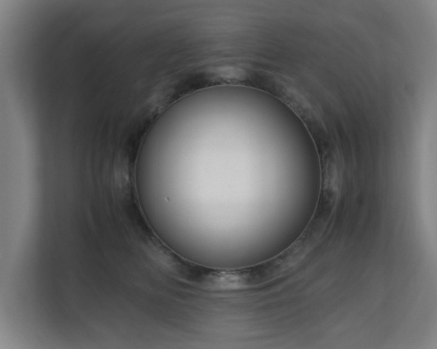 X0000111120518200907071000