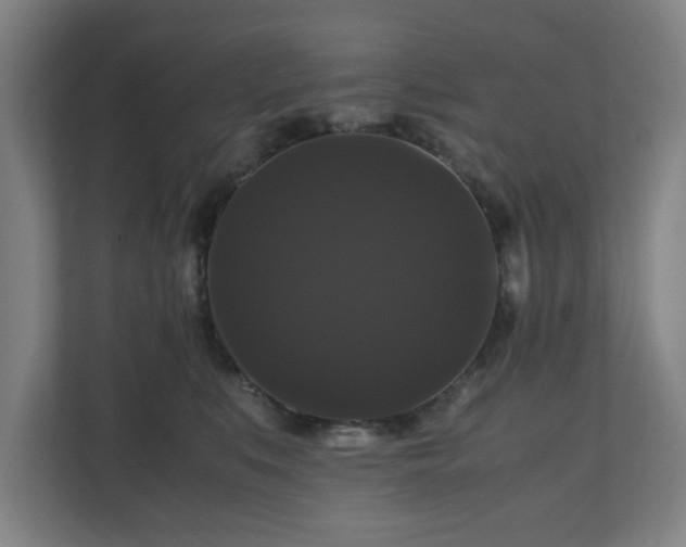 X0000111120519200907071000