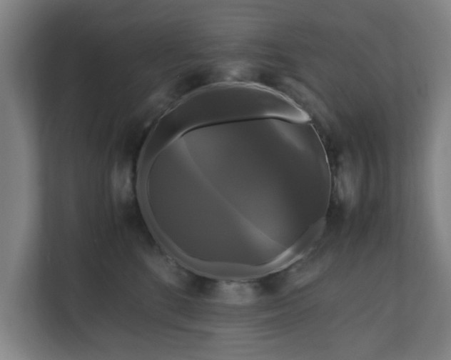 X0000111120520200907071000