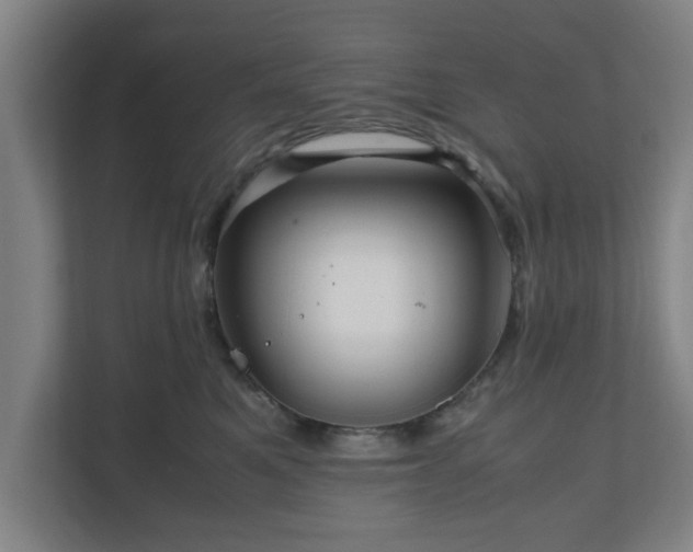 X0000111120521200907071000