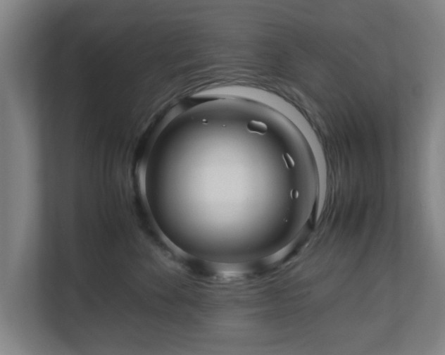 X0000111120524200907071000