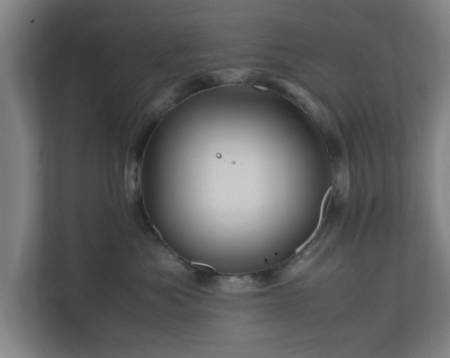 X0000111120525200907071000