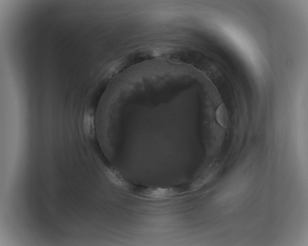 X0000111120527200907071000