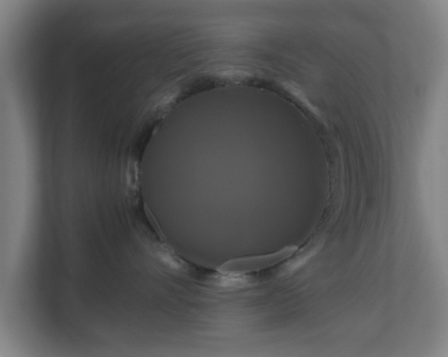 X0000111120528200907071000