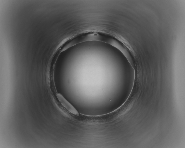 X0000111120530200907070959