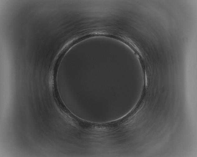 X0000111120531200907070959