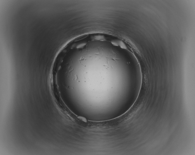 X0000111120532200907070959