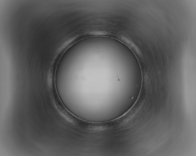 X0000111120533200907070959