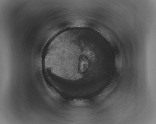 X0000111120534200907070959