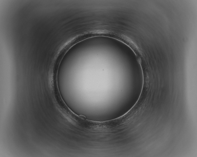 X0000111120535200907070959