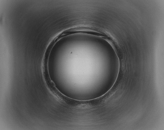 X0000111120536200907070959