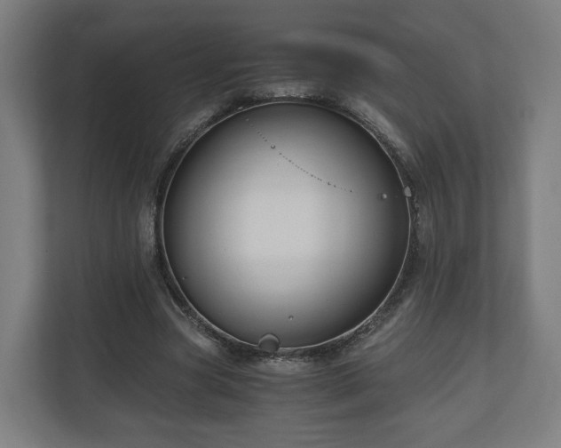 X0000111120537200907070959