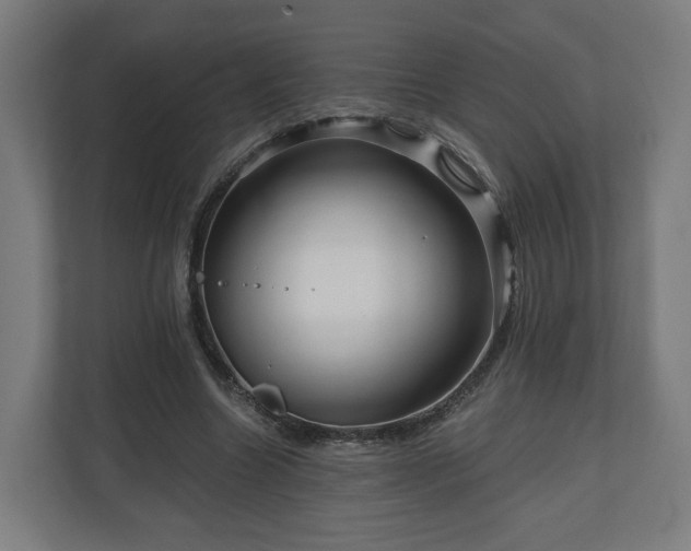 X0000111120538200907070959