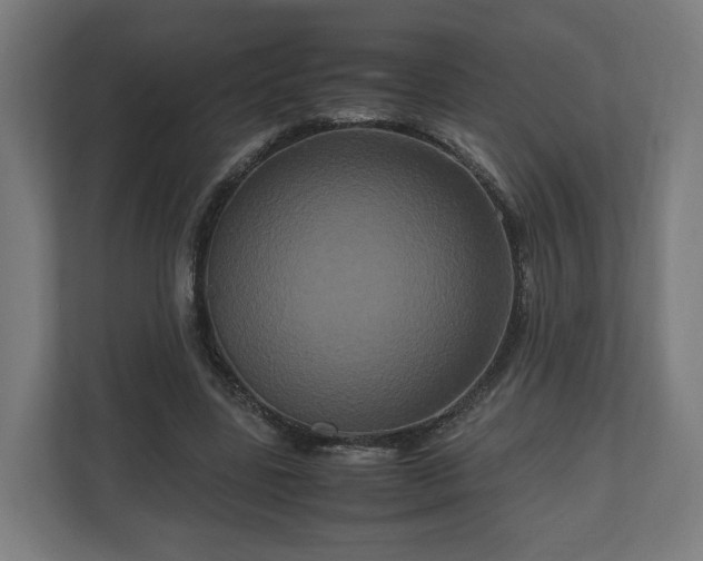 X0000111120539200907070959