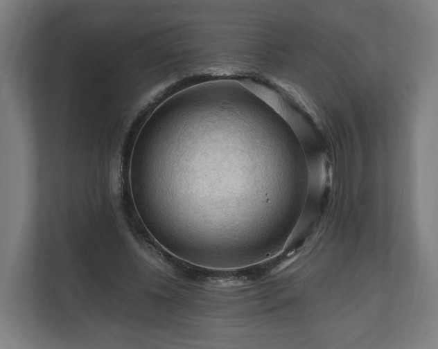 X0000111120540200907070959