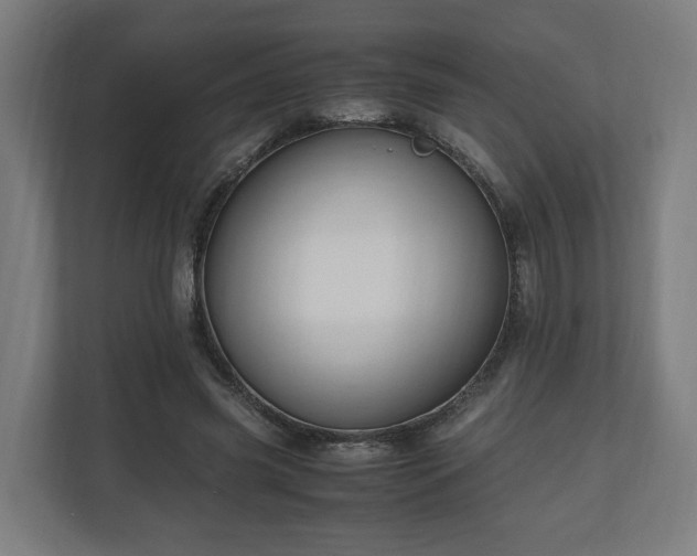 X0000111120541200907070959