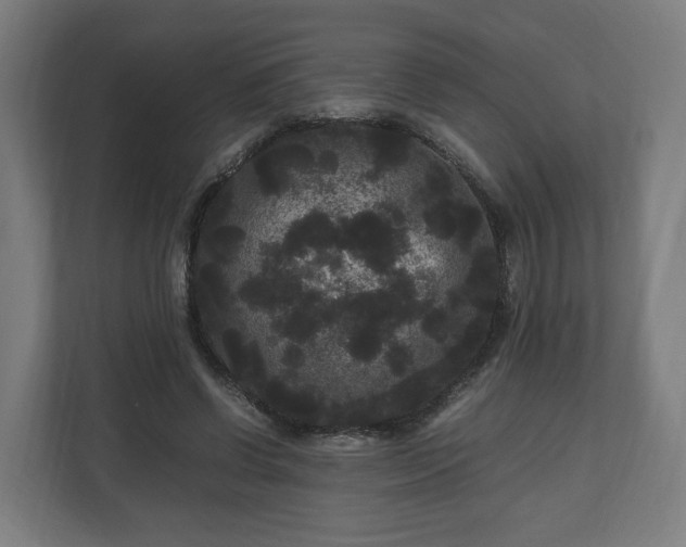 X0000111120542200907070959