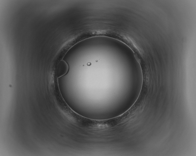 X0000111120543200907070959