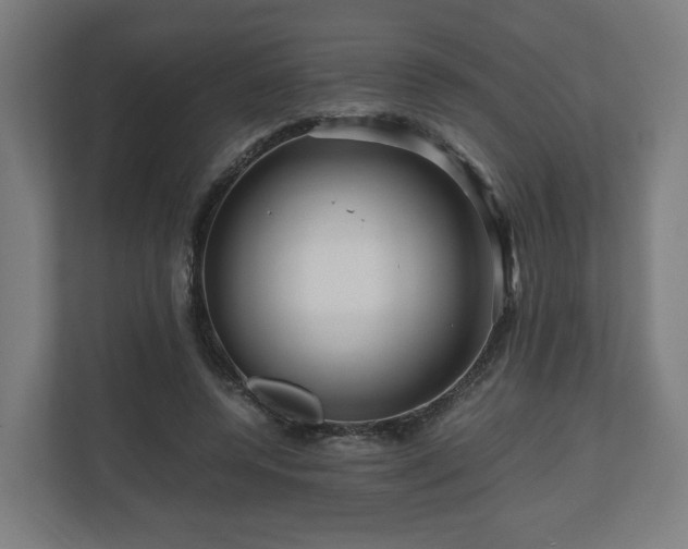 X0000111120544200907070959