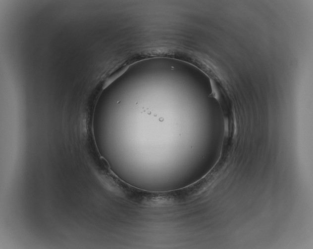 X0000111120546200907070959