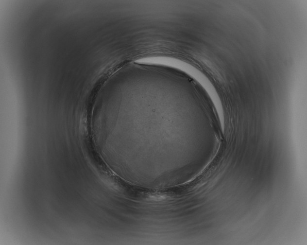 X0000111120547200907070959