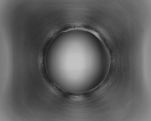 X0000111120548200907070959