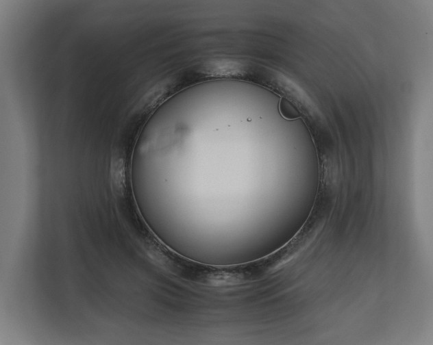 X0000111120549200907070959