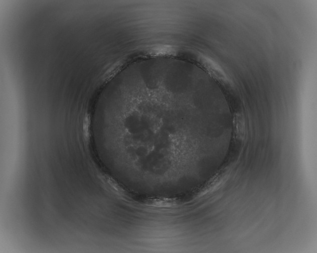 X0000111120550200907070959