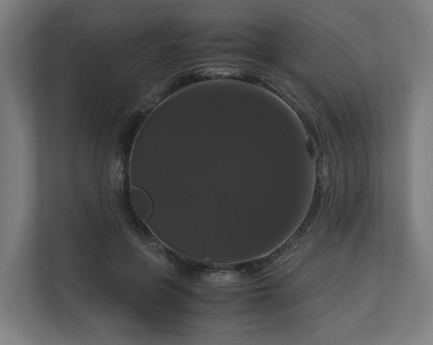 X0000111120551200907070959